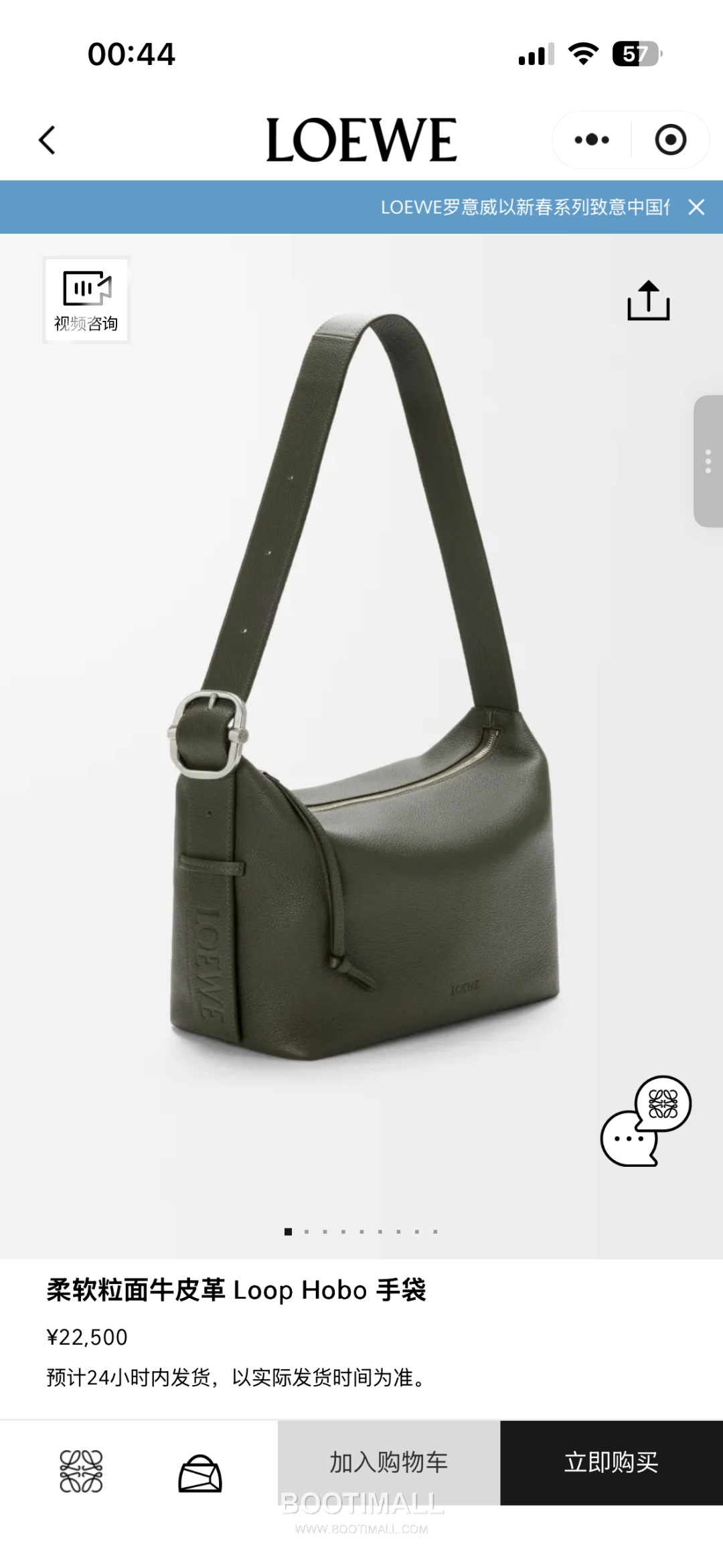Loewe Loop Hobo 65256185 Grained Calfskin Shoulder Bag 로에베 루프 호보 65256185 그레인드 카프스킨 숄더백 29cm 1