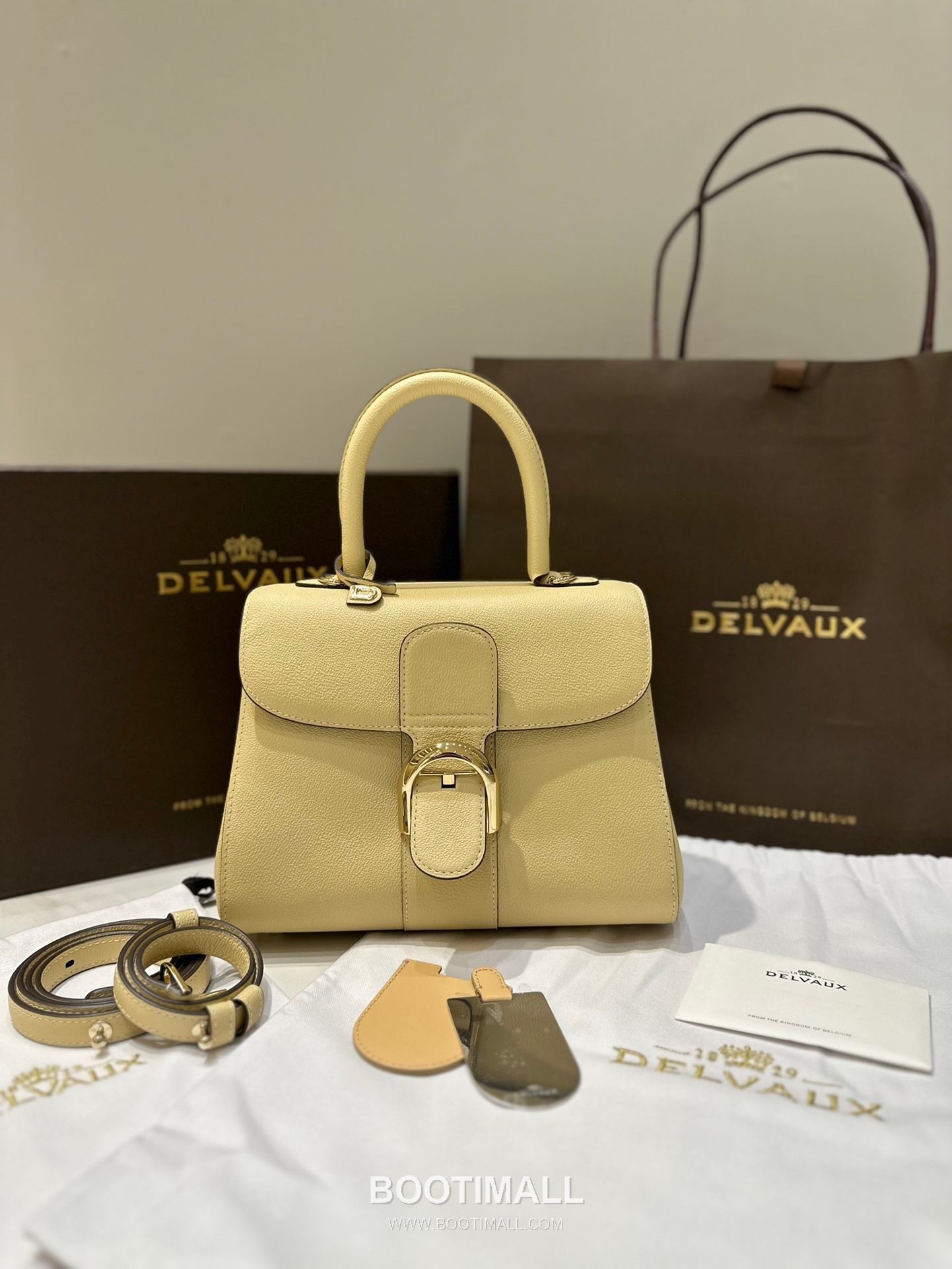Delvaux Brillant PM Rodéo Calf Leather 델보 브리앙 PM 로데오 카프 토트 숄더백 24cm 1