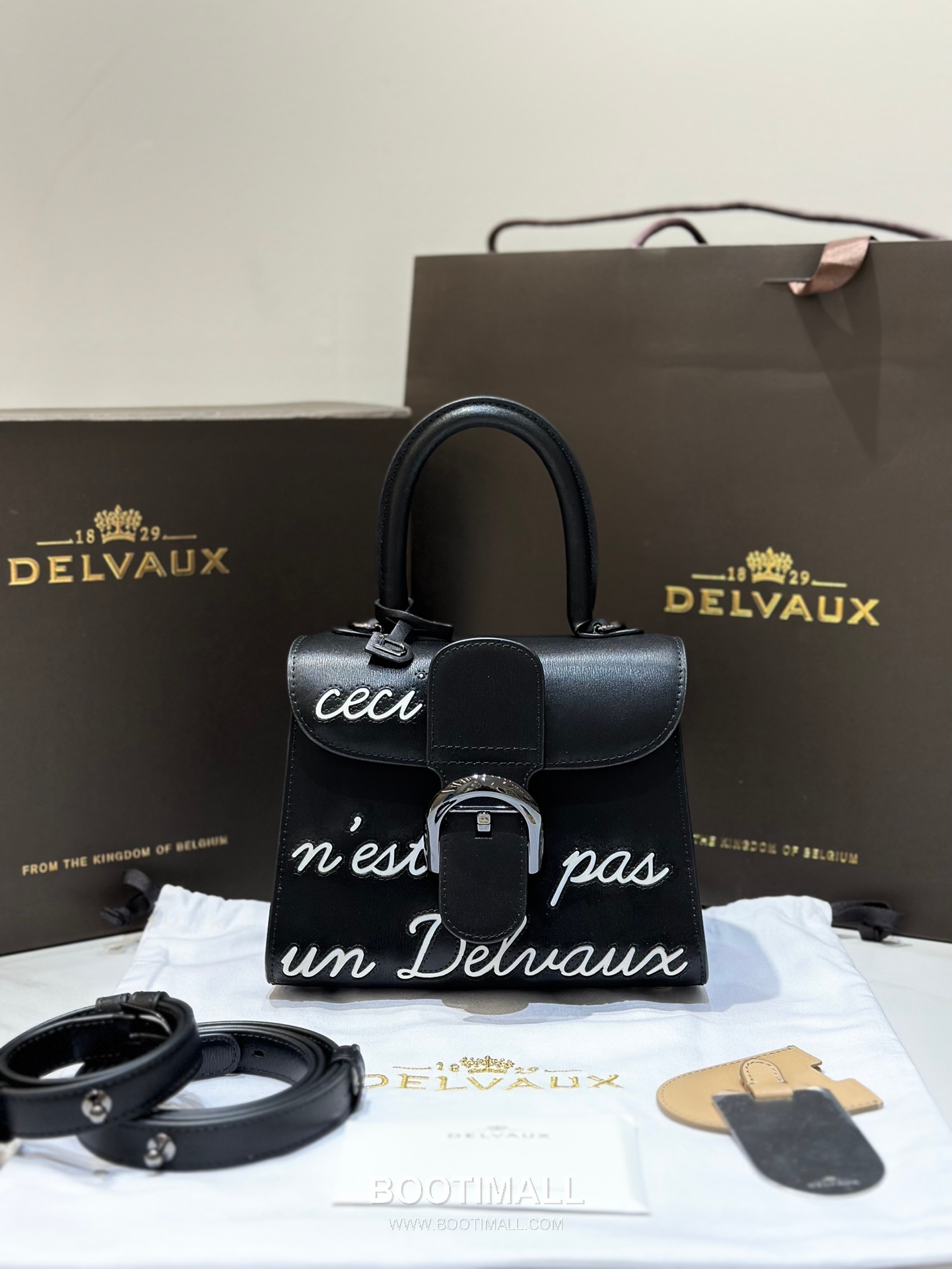 Delvaux Brillant Mini Box Calf Bag 델보 브리앙 미니 박스 카프 탑핸들백 20cm 1