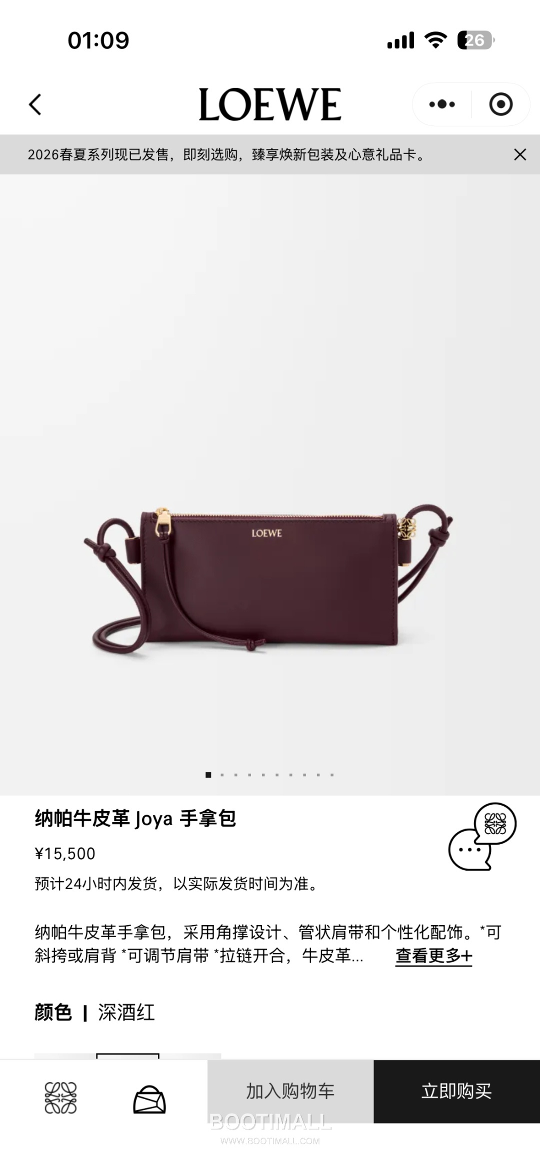 Loewe Joya Nappa Calfskin Clutch Crossbody Bag 26254468 로에베 조야 나파 카프스킨 클러치 크로스백 22cm 1